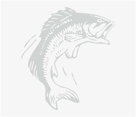Fish Graphic Bass Transparent Fish Black Logo Png Image Transparent