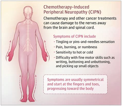 Chemotherapy Induced Peripheral Neuropathy Chemotherapy Oncology