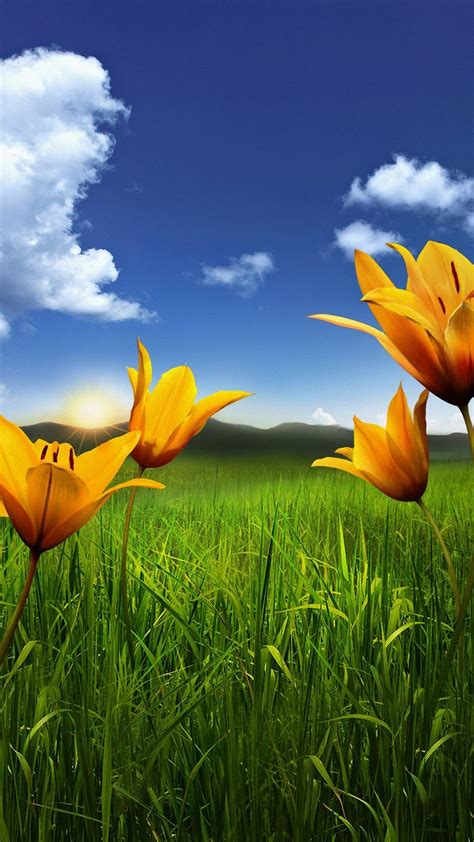 Flowers wallpapers hd full hd, hdtv, fhd, 1080p 1920x1080 sort wallpapers by: Full Screen HD Wallpapers (80+ background pictures)