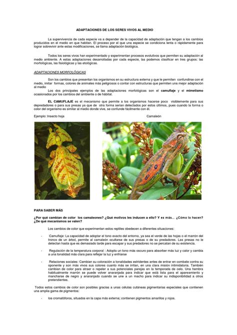 Adaptaciones Biologicas By Wilinton Mesa Issuu