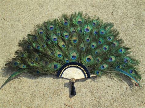 Extra Large Peacock Feather Fan For Home Decor 24 By 47 Inches Used In