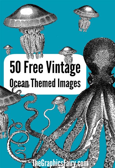Free Vintage Dolphin Image The Graphics Fairy
