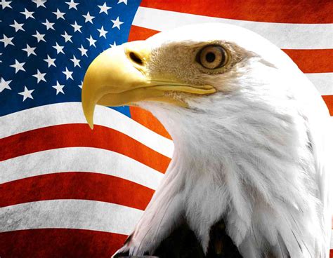 In X In US Flag With Eagle Vinyl Sticker American America Decal
