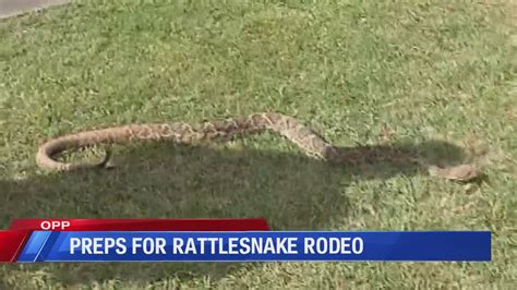 Vendors Prepare For 61st Annual Opp Rattlesnake Rodeo Youtube