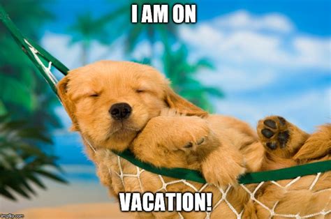 Vacation Dog Imgflip