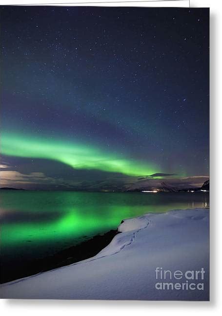Aurora Borealis Over Vagsfjorden Photograph By Arild Heitmann