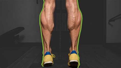 The 8 Best Calf Exercises For Lower Body Support And Power Barbend