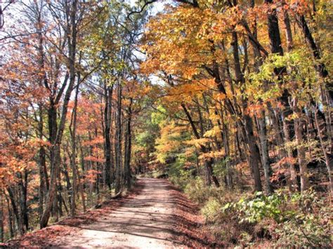 Youll Be Happy To Hear That Arkansas Fall Foliage Is Expected To Be