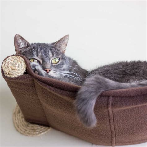 Maybe you would like to learn more about one of these? Cat Hammock - Wall Mounted Cat Bed - Brown - CatsPlay ...