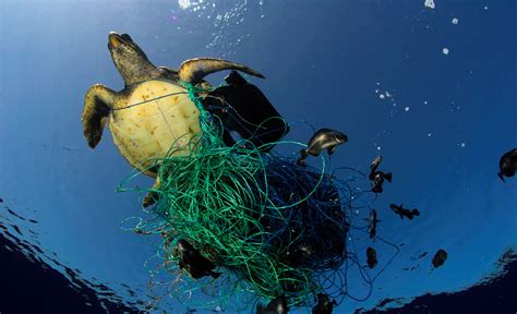 The Haunting Reality Of Ocean Plastics Greenbiz