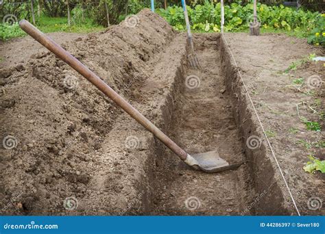 Dug A Trench To Arrange A Deep Bed Of Stock Image Image Of