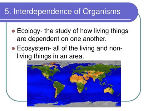 Biology Study Of Life Organism Living Thing Ppt Download