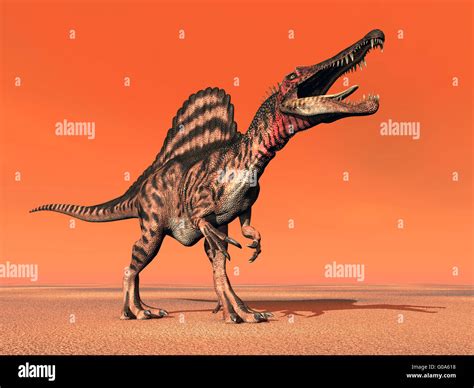 Dinosaur Dinosaurs Dino Spinosaurus Banque De Photographies Et Dimages