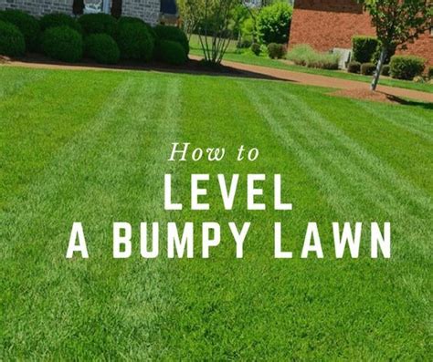 How To Level A Bumpy Lawn Lush Lawn Lawn And Landscape Reseeding Lawn