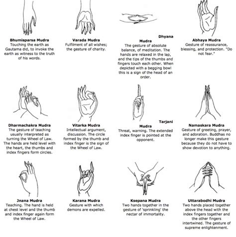 a guide to buddhist hand gestures curious christian