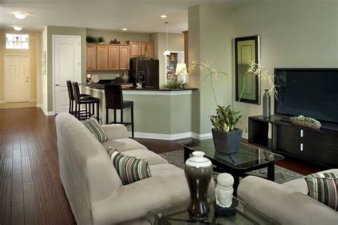 This Much More Casual Main Living Area Features A Light Sage Green Wall