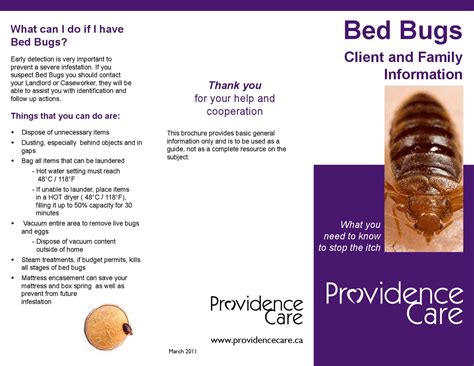 Bed Bugs Brochure Providence Care By Providence Care Issuu