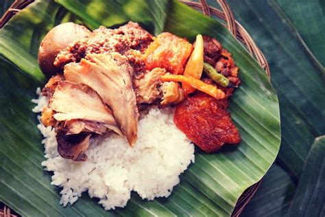 Learn about the best overall cat foods suitable for all types of cats. Nasi Gudeg | Indonesian food, Food, Indonesian cuisine