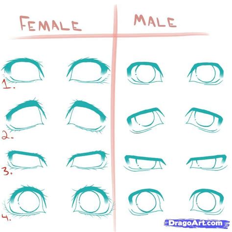 Image Result For How To Draw Anime Eyes Male And Female Realistic Eye