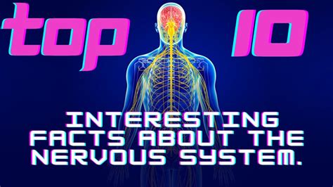 Top 10 Interesting Facts About The Nervous System Youtube