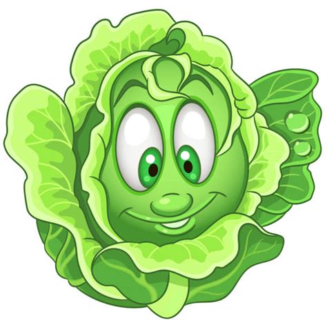 Iceberg Lettuce Illustrations Royalty Free Vector Graphics And Clip Art