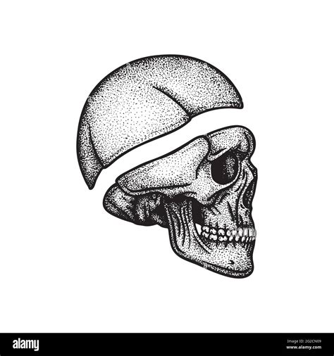 Human Skull Side View Hand Drawn Vector Illustration Part Of Human
