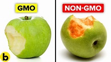 Genetically Modified Foods and Their Pros And Cons - YouTube