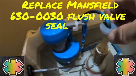 Remove Mansfield Toilet Flush Valve Body Dismantle The Toilet