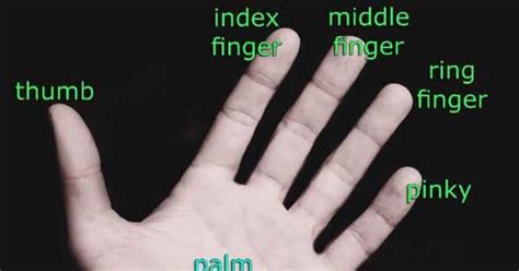 Guys Do You Have A Longer Ring Finger Or A Loner Index