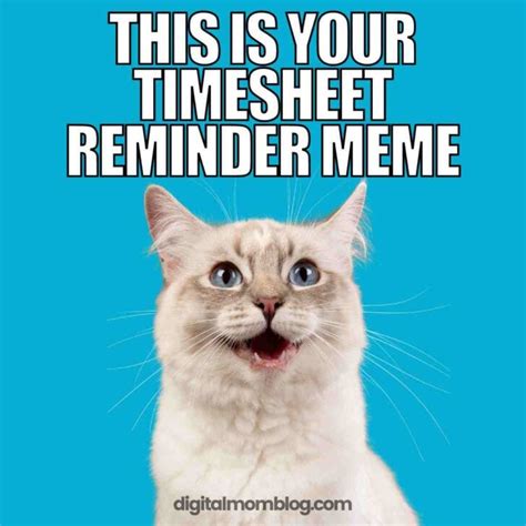 Funny Timesheet Memes And Reminders For The Forgetful
