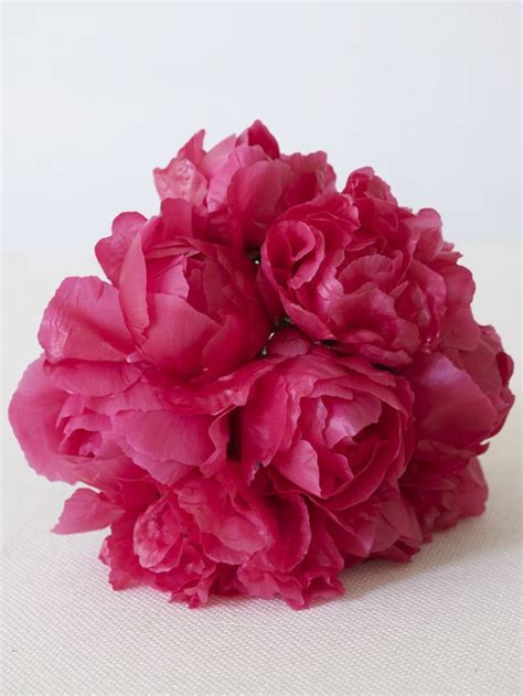 Design 101 Flower Bouquet Wedding Bridal Bouquet Peonies Pink