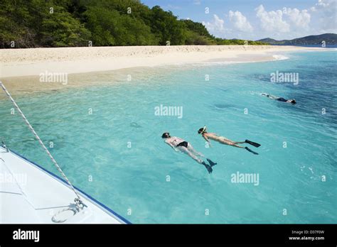 Snorkeling Buck Island Us Virgin Islands Caribbean Stock Photo Alamy