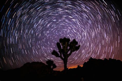 Joshua Trees At Night Joshua Tree National Park Jay Z Photo