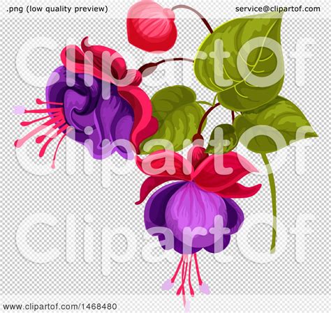 Clipart Of Fuchsia Flowers Royalty Free Vector Illustration By Vector