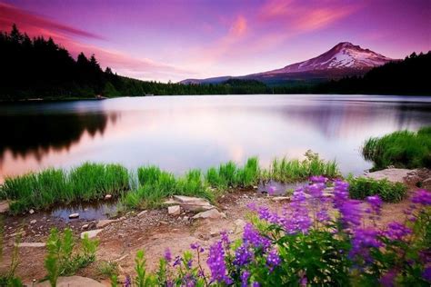 Colorful Nature Wallpapers ·① Wallpapertag