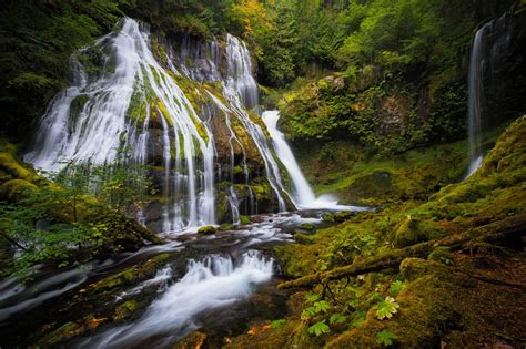 Waterfalls Forests Moss Hd Wallpaper Rare Gallery