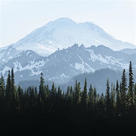 Download Wallpaper 2248x2248 Summit Glacier Mountain Rainier Nature