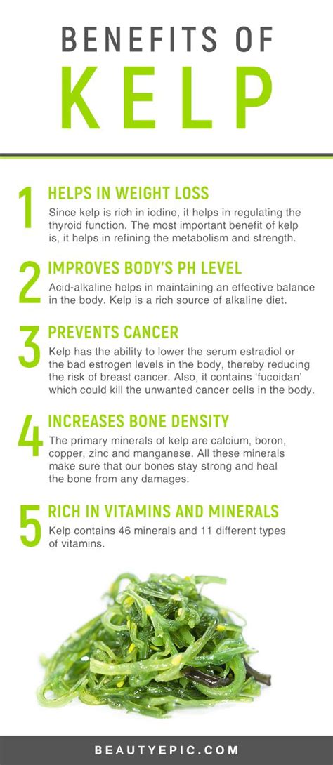 Amazing Health Benefits Of Kelp Coconut Health Benefits Matcha