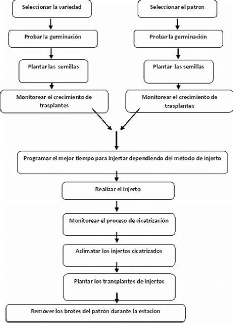 45 Diagrama De Flujo De Proceso Productivo Pics Midjenum