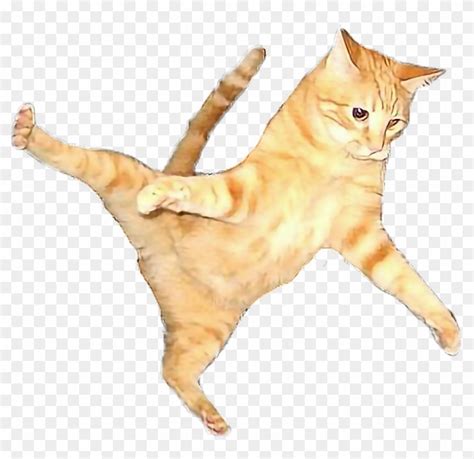 Cat Flying Flyingcat Orangecat Orange Color Play Flying Cat Png