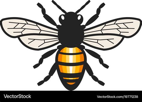 Honey Bee Royalty Free Vector Image Vectorstock