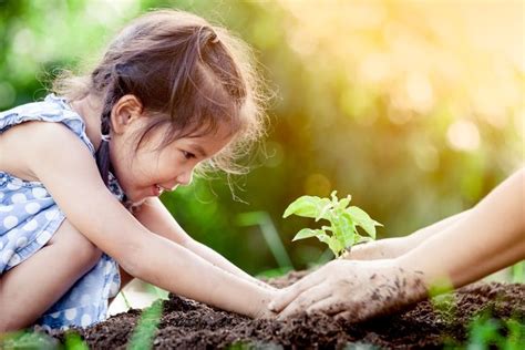 More than half of the children in foster care will be reunified with their. Five Reasons Why We Should Take Care of the Earth ...
