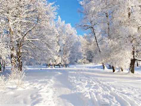 42 Free Hd Winter Wallpaper Wallpapersafari