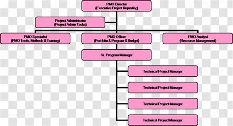 Project Management Office Organizational Chart Structure Organization