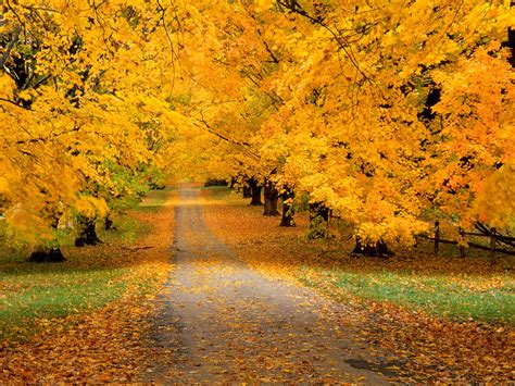 Best Autumn Wallpapers Clickandseeworld Is All About