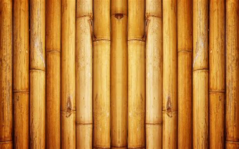Download Wallpapers Brown Bamboo Texture 4k Bambusoideae Sticks