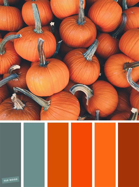 autumn cozy inspiration orange pumpkin colour inspiration a pretty colour palette to get you