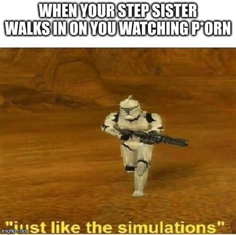 Just Like The Simulations Imgflip