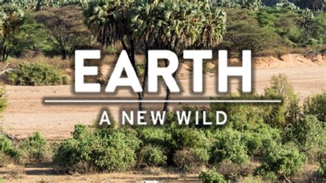 Videos And Interactive Earth A New Wild Classroom Resources Pbs