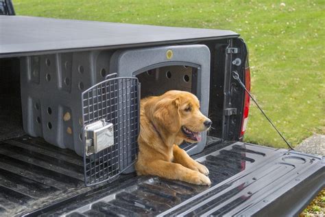 Dog Crate In Truck Bed Ubicaciondepersonascdmxgobmx